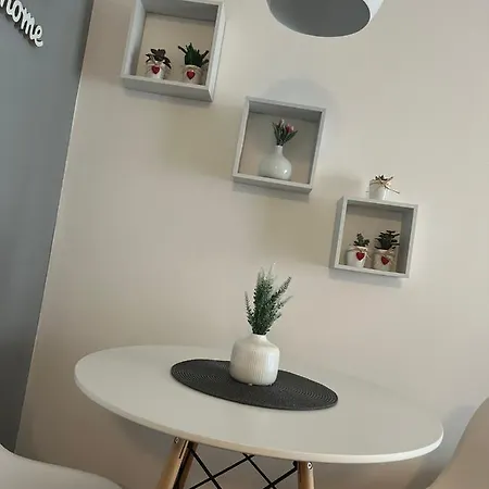 Grey Нови-Сад